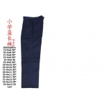 SR300SBP Primary School Blue Plant